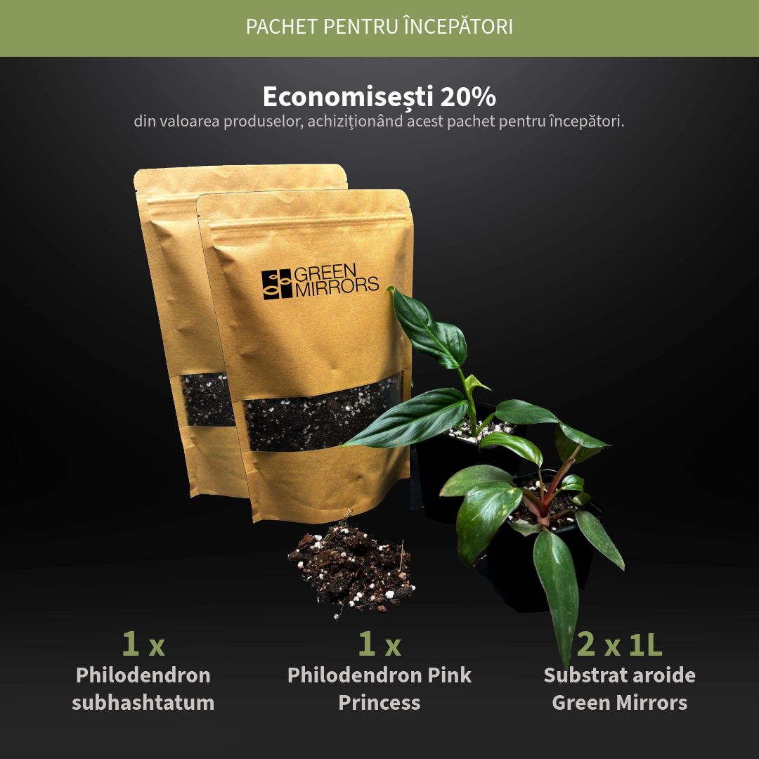 Starter pack with 2 bags of substrate and 2 plants: Philodendron subhashtatum, Philodendron Pink Princess